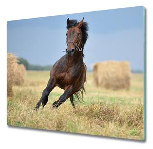 Tocator din sticla galop de cai