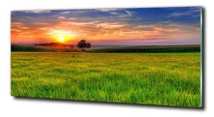 Tablou sticlă Sunset Meadow