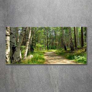 Imagine de sticlă Calea în pădure