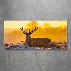 Imagine de sticlă Sunrise Deer