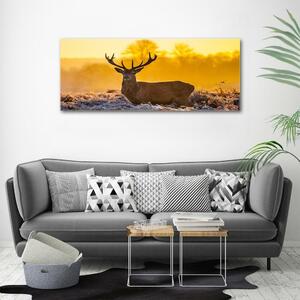 Imagine de sticlă Sunrise Deer
