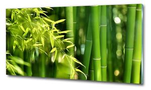 Tablou sticlă Bambus