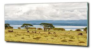 Fotografie imprimată pe sticlă Lacul Naivasha