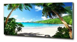 Fotografie imprimată pe sticlă plaja Seychelles