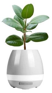 Ghiveci inteligent cu muzica si lampa de veghe, functie tactila
