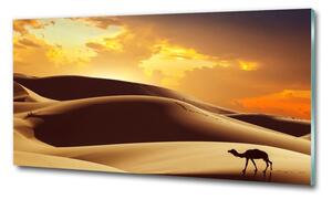 Tablou pe pe sticlă cămilă Sahara
