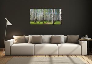Imagine de sticlă pădurea de mesteacăn
