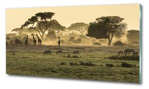 Tablou sticlă Girafele pe savana
