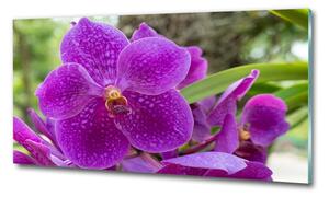 Fotografie imprimată pe sticlă Orhidee