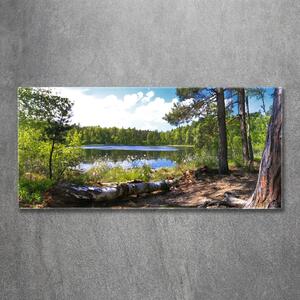 Imagine de sticlă Panorama de pădure