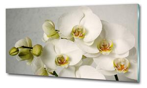 Fotografie imprimată pe sticlă alb orhidee