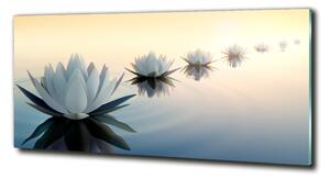 Tablou Printat Pe Sticlă flori de lotus