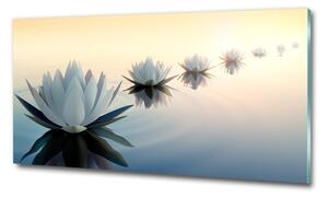 Tablou Printat Pe Sticlă flori de lotus