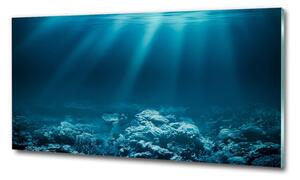 Tablou Printat Pe Sticlă Lumea subacvatica