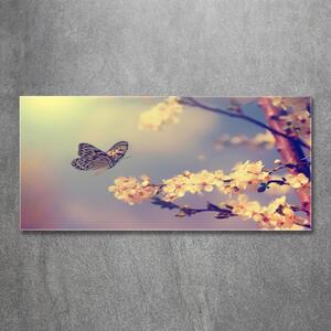 Tablou sticlă Floare de cireș și fluture