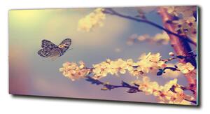 Tablou sticlă Floare de cireș și fluture