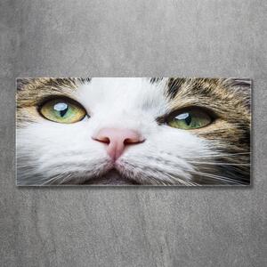 Tablou din Sticlă ochi de pisica lui Green