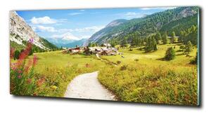 Fotografie imprimată pe sticlă Pășuni în Alpi