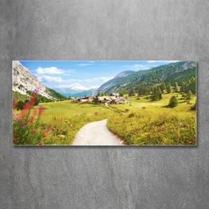 Fotografie imprimată pe sticlă Pășuni în Alpi