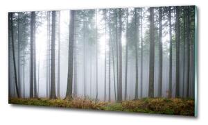 Tablou sticlă Ceață în pădure