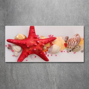 Tablou Printat Pe Sticlă Starfish și scoici