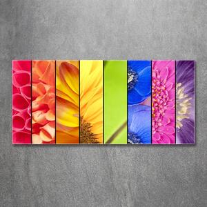 Tablou sticlă flori colorate