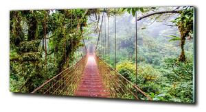 Fotografie imprimată pe sticlă Bridge în tropice