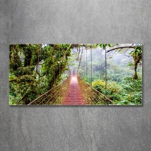 Fotografie imprimată pe sticlă Bridge în tropice