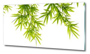 Tablou Printat Pe Sticlă frunze de bambus