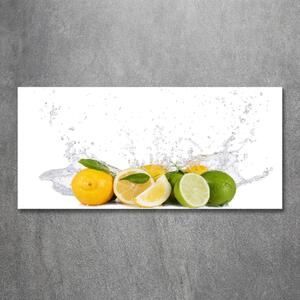 Imagine de sticlă Fructe citrice și apă