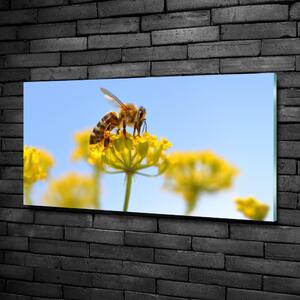 Imagine de sticlă Albine pe o floare
