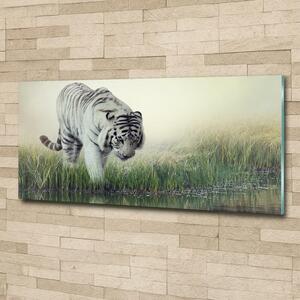 Fotografie imprimată pe sticlă tigru alb