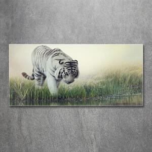 Fotografie imprimată pe sticlă tigru alb