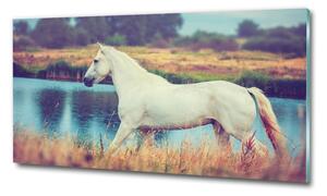 Imagine de sticlă White Lake Horse