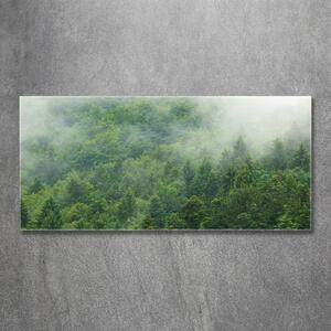 Fotografie imprimată pe sticlă pădure misterioasă