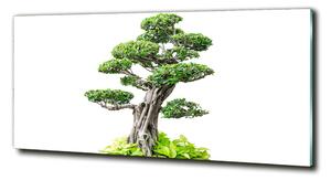 Tablou din Sticlă copac bonsai