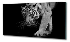 Imagine de sticlă Tigru