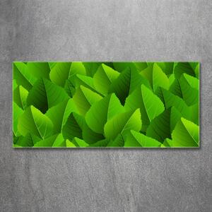 Tablou din Sticlă Frunze verzi