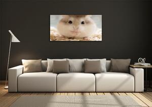 Imagine de sticlă Hamster