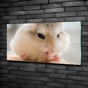 Tablou sticlă Hamster