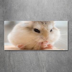 Tablou sticlă Hamster