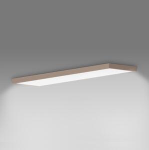 Brilagi-LED Plafonieră pentru baie FRAME LED/50W/230V 120x30 cm IP44 bej
