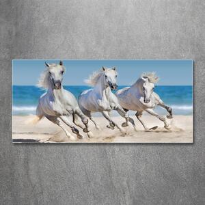 Tablou din Sticlă White Beach Horse