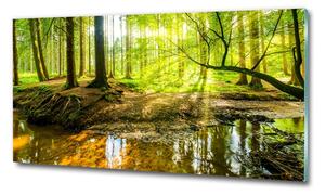 Fotografie imprimată pe sticlă Iazul în pădure