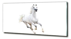Fotografie imprimată pe sticlă cal arab de culoare albă