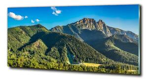 Fotografie imprimată pe sticlă panorama Tatra