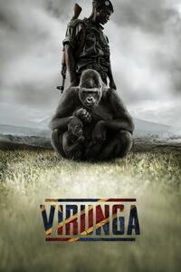 Ilustrație Virunga (2014)