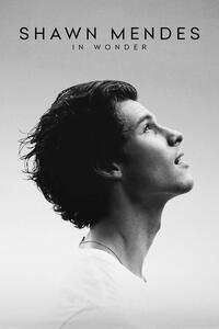 Ilustrație Shawn Mendes In Wonder (2020)