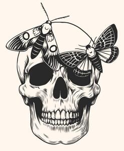 Ilustrație Hand drawn human skull head butterfly, Julia Solodukhina