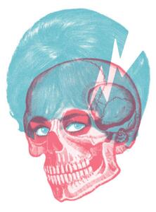 Ilustrație Skull, CSA Images